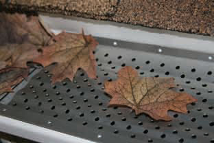GutterRx protection blocking leaves